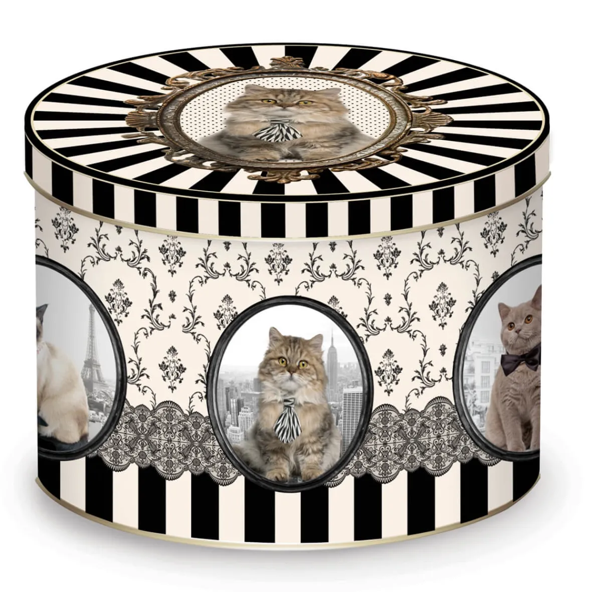 Easy Life Tasse en porcelaine dans une boîte en fer-blanc BAROCCO CATS VersC> Petit Dejeuner